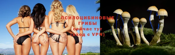 а пвп мука Магас