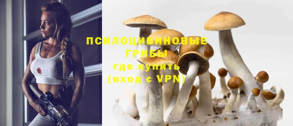 ПСИЛОЦИБИНОВЫЕ ГРИБЫ Майский