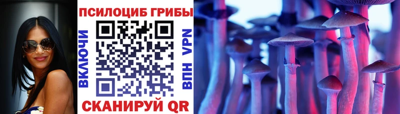 Псилоцибиновые грибы Cubensis  Усть-Джегута 