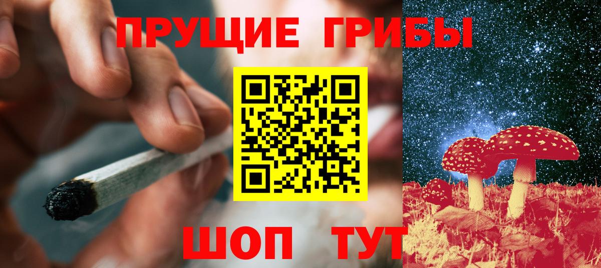 Псилоцибиновые грибы GOLDEN TEACHER  где купить   Галлюциногенные грибы Psilocybine cubensis  Усть-Джегута  Вход с VPN 