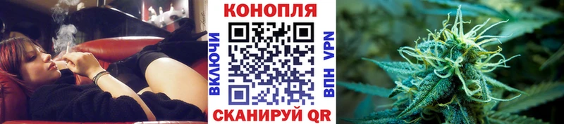 Шишки марихуана OG Kush Усть-Джегута