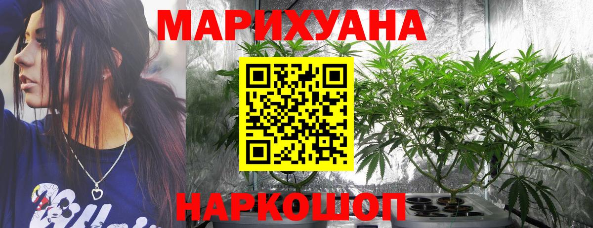 Бошки марихуана сатива Усть-Джегута